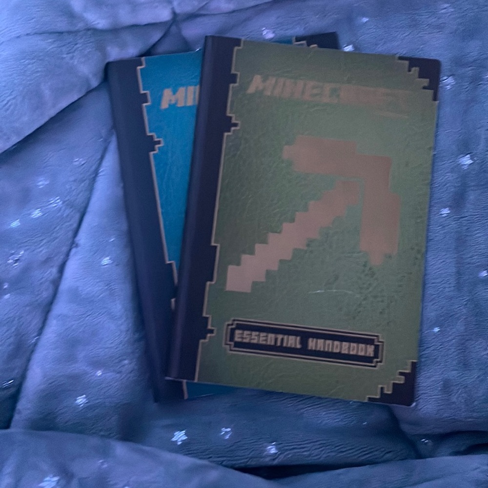 minecraft books